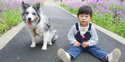 Chien et enfant