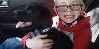 enfant et chien