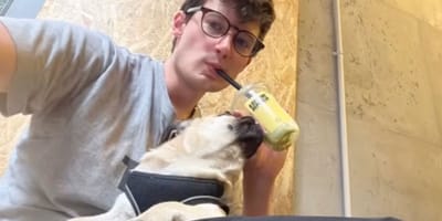 Hund und junger Mann