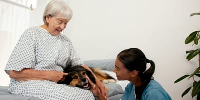 Chien et personne âgée