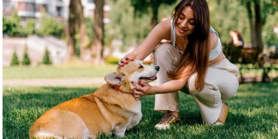 chien et propriétaire