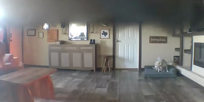 Dog rescued from house fire