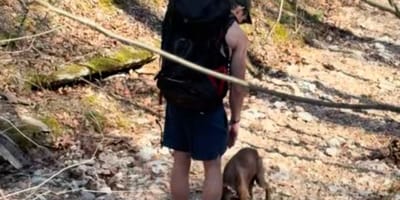 Hund von Wanderern gefunden