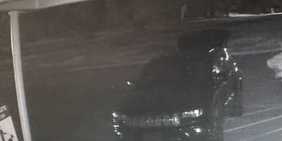 Dog in a car park