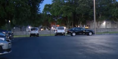 Chiens enfermés dans un parking