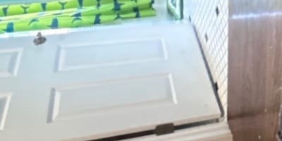 Screen z video