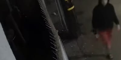 Clôture de clinique vétérinaire