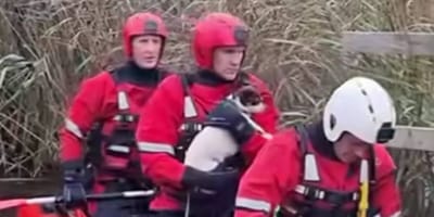 Coast guard holding spaniel