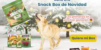 concurso-purina-snacks-box-navidad