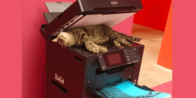 Copycat