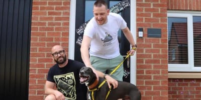 Couple with newly adopted lurcher