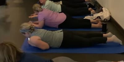 Yogales