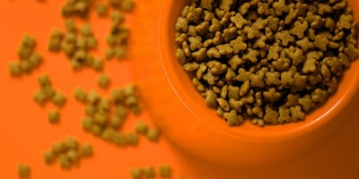 Croquettes pour chats