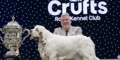 Crufts winner Bruin with Lee Cox, convicted of animal cruelty