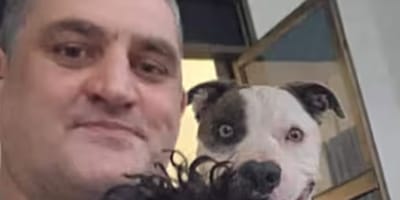 Daniel L. und Hund Jambo