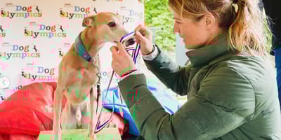 Daphne Schippers kroont de winnende Whippet