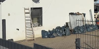 Das Haus der Animal Hoarderin