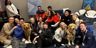 De Calm-zone in Hamar voor topschaatsers