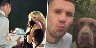 De hond van Lukas Podolski is overleden