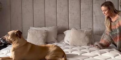 de hond van Monique Westenberg moest weer onder het mes vanwege een tumor