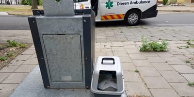 De kat die werd gevonden in een dichtgetapte kattenbak