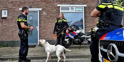 De Pitbull uit het verhaal wordt ook meegenomen