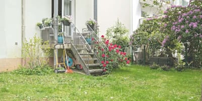 Der Garten der Hamburger Hundehalterin