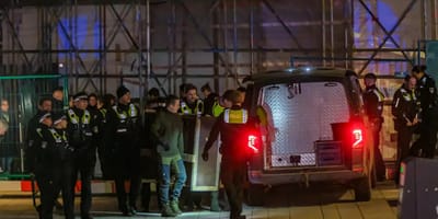 Der gefangene Wolf wird abtransportiert