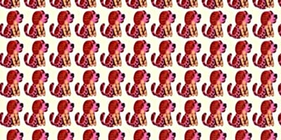 défi visuel chien caché