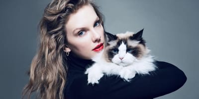 Deze honden en katten zijn rijk, erg rijk