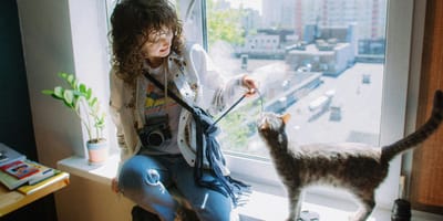 dia-internacional-gato-mitos-alergia-felina