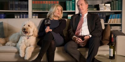 Die Kanzlei: Alles über den Hund