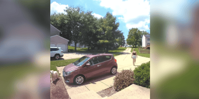 Dog and owner looking for each other