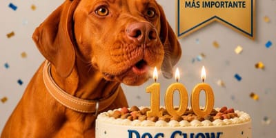dog-chow-purina-100-años