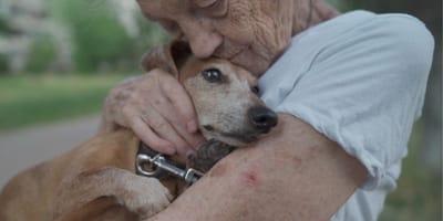 dolor-por-la-muerte-de-mi-perro
