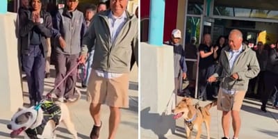 Dubbele adoptie