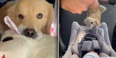 Drake reagiert unerwartet auf das Baby