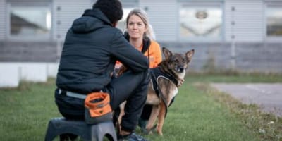 Dutch Cell Dogs traint in Woensel met gedetineerden