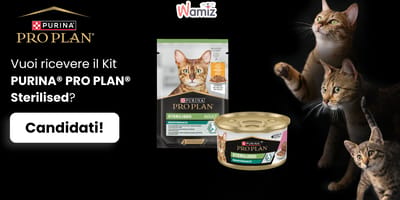 Ecco i prodotti del kit Pro Plan Sterilised!