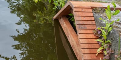 Een kattentrap zodat katten uit het water kunnen komen