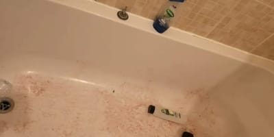 Ein Bild des Schreckens