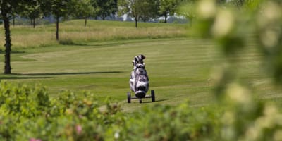 Einsamer Caddy auf einem Golfplatz