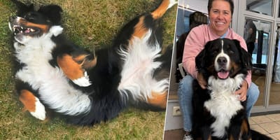 Elke van vzw People4animals met Zenia die ze wil beschermen van de dood