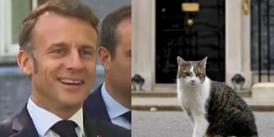 Emmanuel Macron and Larry the Cat
