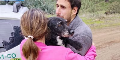 encuentran-boro-perro-desaparecido-accidente-tren-cordoba