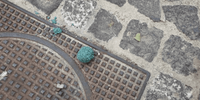 esche avvelenate per cani a Cagliari