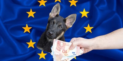 EU-Beschluss gegen illegalen Welpenhandel