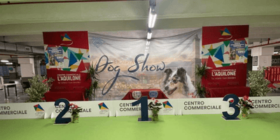 Expo Canina  Internazionale
