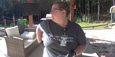 Facteur en livraison