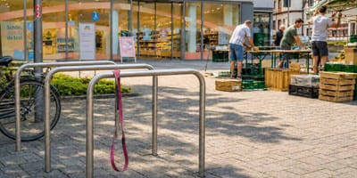 Fahrradständer, über dem eine rosa Hundeleine hängt